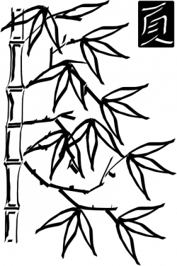 250x376 Bamboo Drawing, Picture