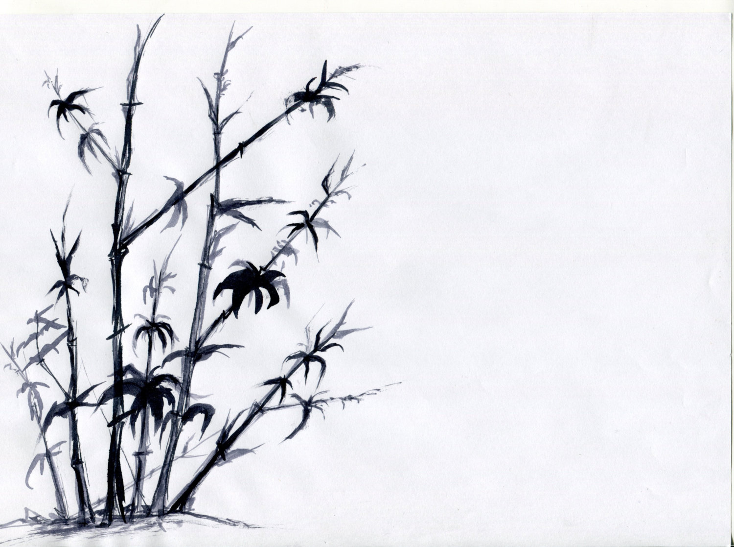 1500x1117 chinese drawing a print of a beautiful bamboo tree sized etsy
