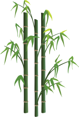 270x400 Collection Of Free Bamboo Drawing Plant Download On Ui Ex