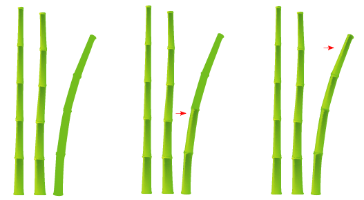 527x290 Illustrator Tutorial Chinese Bamboo