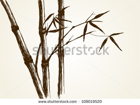 450x339 Sketch Illustration Of Bamboo Tree Art In Bamboo Tree