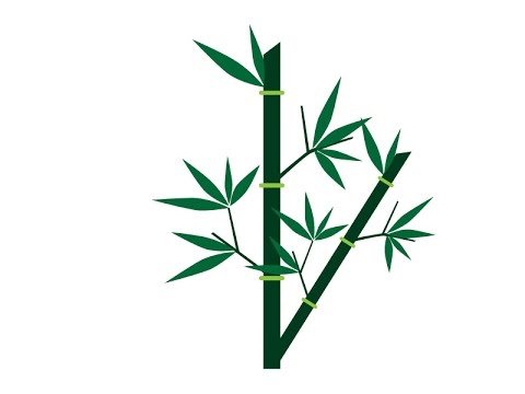 480x360 Tutorial Adobe Illustrator How To Make Bamboo