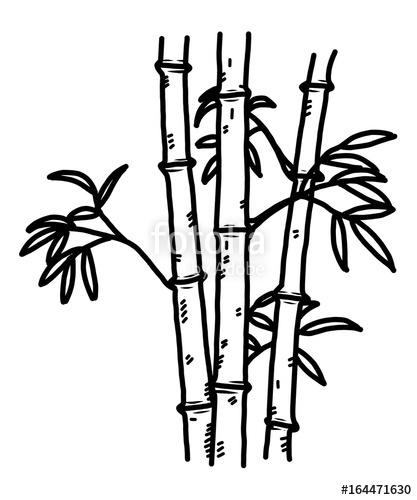 417x500 Bamboo Cartoon Vector And Illustration, Black And White, Hand