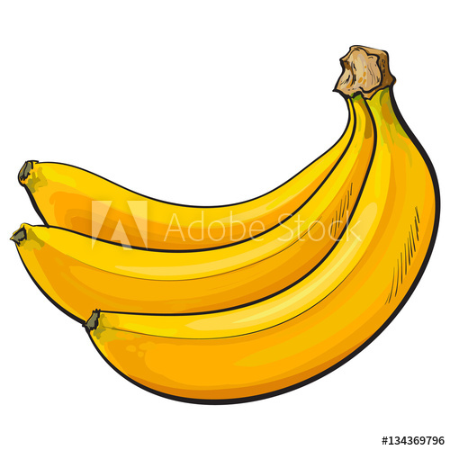 500x500 Bunch Of Three Unopened, Unpeeled Ripe Bananas, Sketch Style