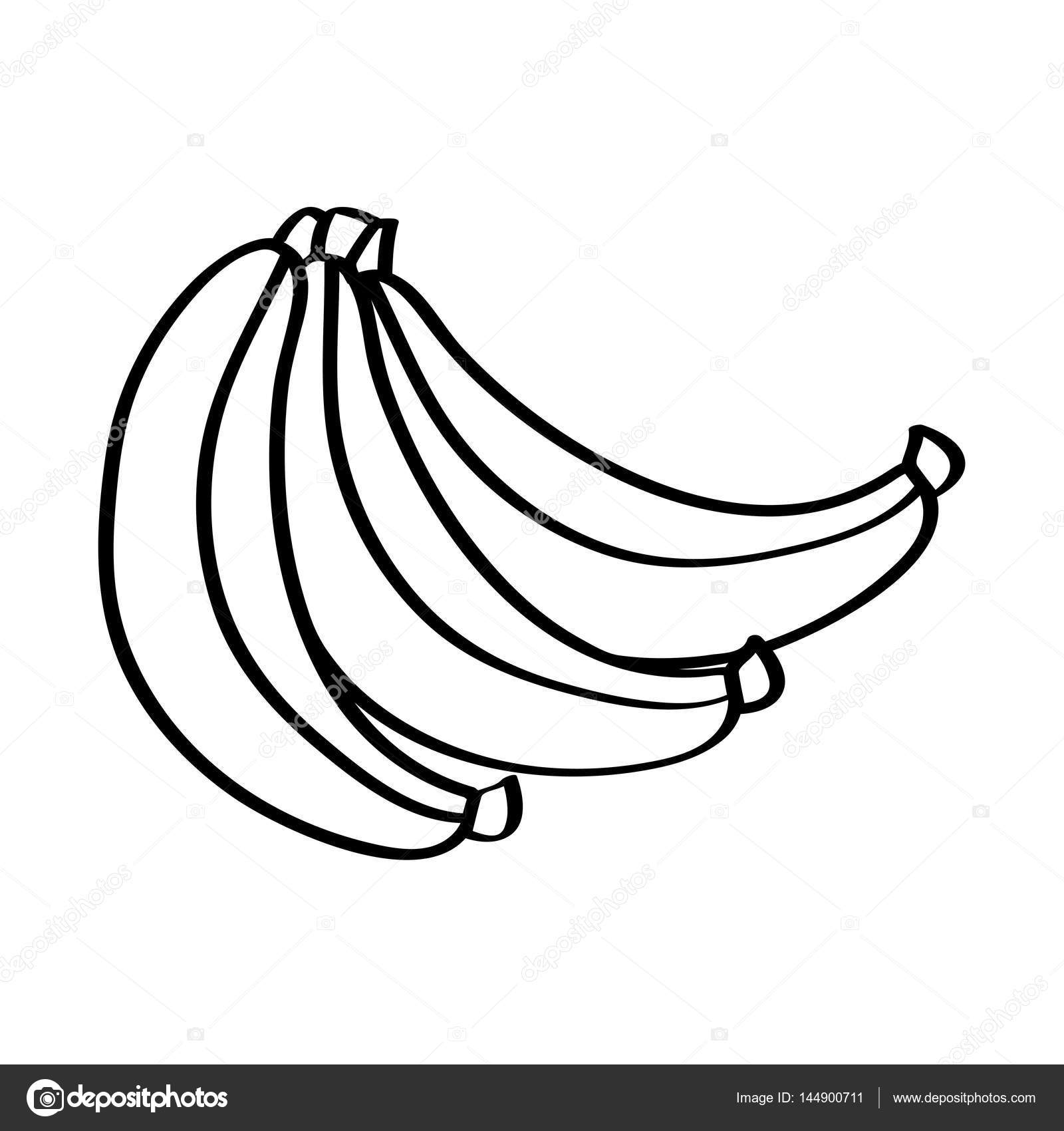 1600x1700 Banana Drawing Real Fruit For Free Download