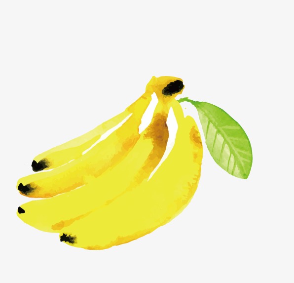 596x573 Drawing Vector Banana, Banana Clipart, Drawing Fruit, Beautifully