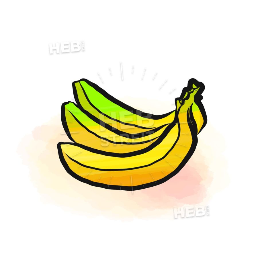 900x900 Colored Drawing Of Bananas Hebstreits Sketches