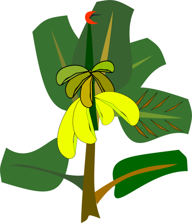 646x750 Banana Leaf Drawing Cartoon Cc0