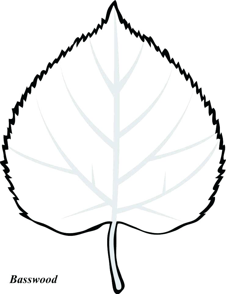 740x961 fall leaf drawing fall leaf drawing easy