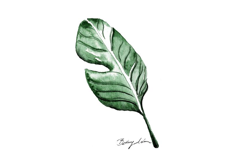 794x567 Giclee Print Banana Leaf Watercolor Print Austin Texas Etsy