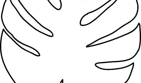 557x329 Banana Leaf Coloring