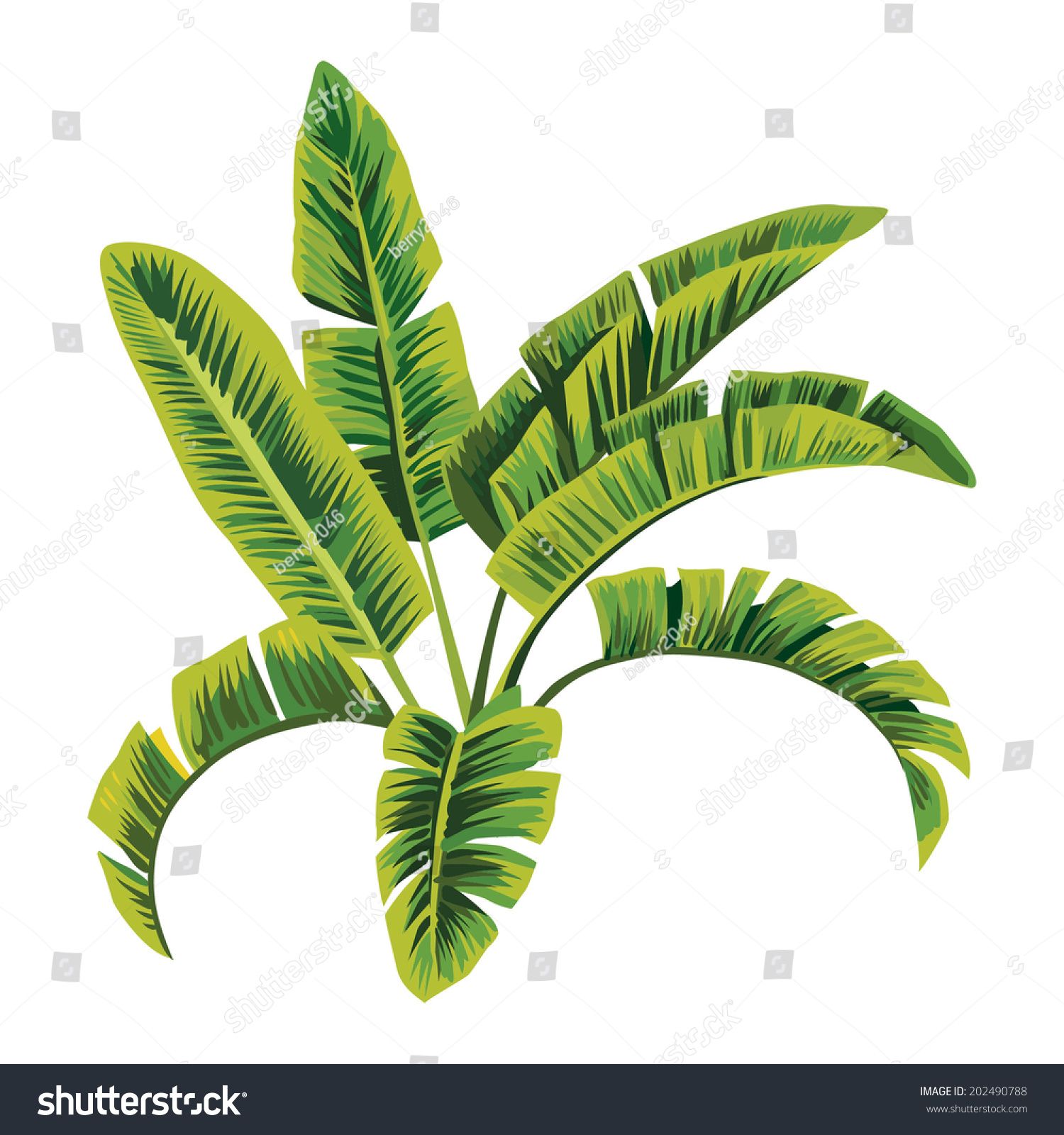 1500x1600 The Banana Leaf Co In How