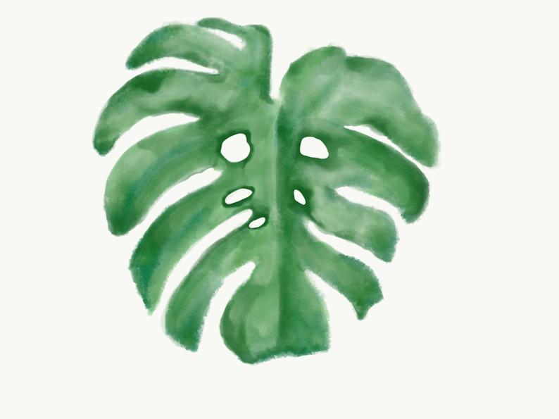 794x595 Watercolor Banana Leaf Digital Download Etsy