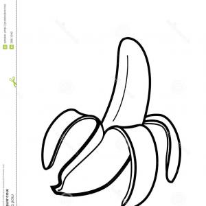 300x300 Banana Set Vector Drawing Isolated Hand Drawn Bunch Peel Gm