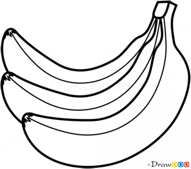 665x588 Drawing Pictures Banana For Free Download
