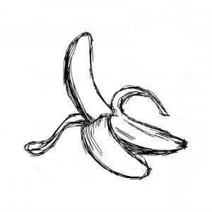300x300 Banana Vector Drawing Isolated Hand Drawn Peel Object On White