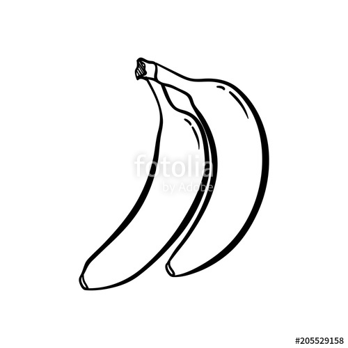 Banana Sketch Drawing