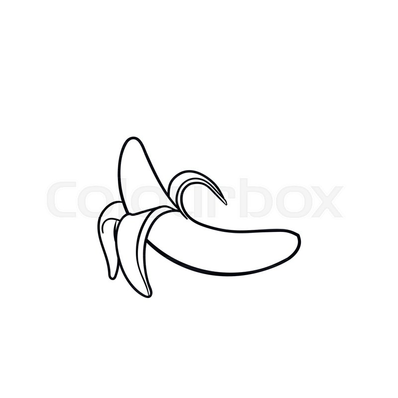 800x800 Half Peeled Banana Hand Drawn Outline Stock Vector Colourbox