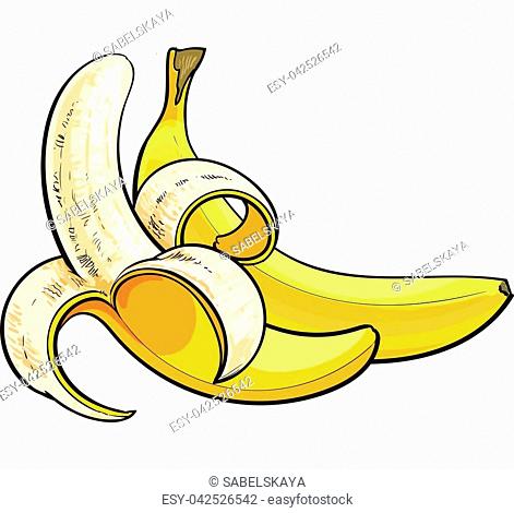 471x470 Peel Banana Sketch Stock Photos And Images Age Fotostock