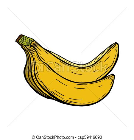 450x470 Sketch Ink Colorful Vintage Banana Illustration, Draft Silhouette