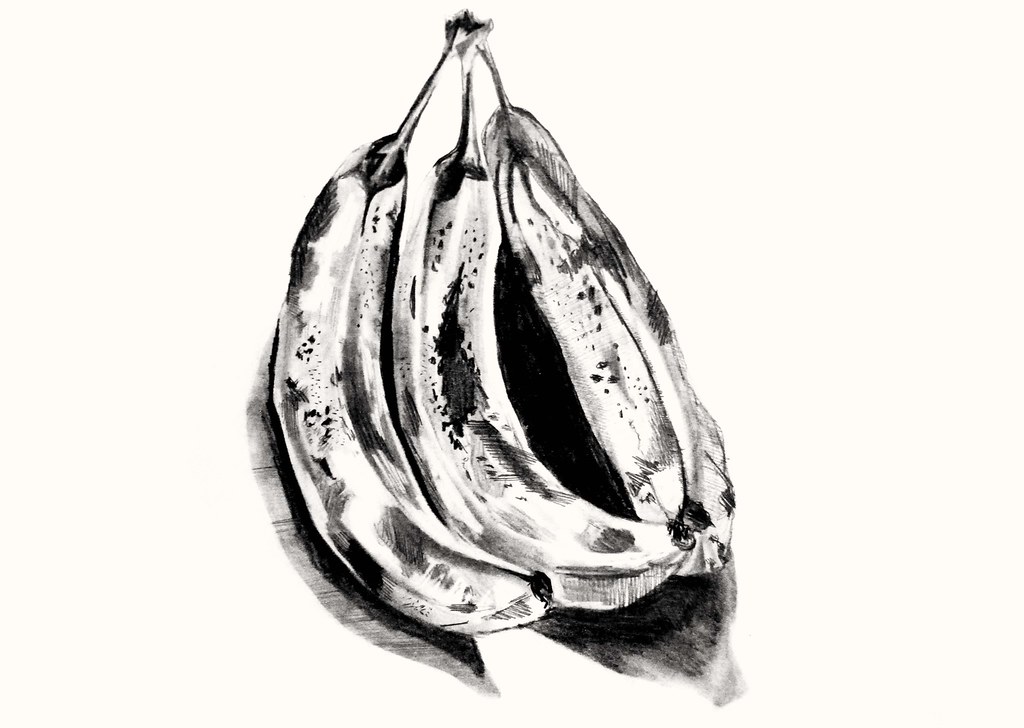 1024x728 The World's Best Photos Of Bananas And Sketch