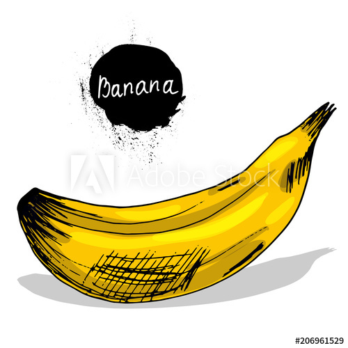 500x500 banana fruits and berries growing vitamins right meals sketch