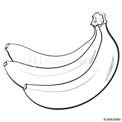 500x500 Black And White Bunch Of Three Unopened, Unpeeled Ripe Bananas