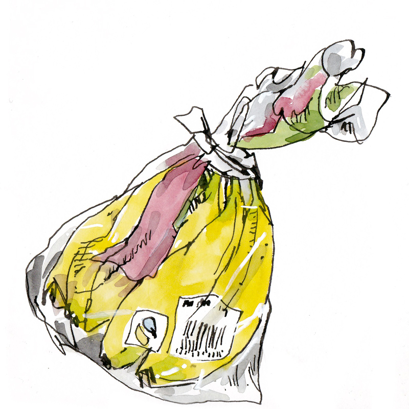 800x801 Bag Of Bananas Michael Gage