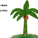 150x150 Banana Tree Pencil Drawing Images Videos Pic Step