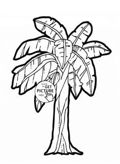 236x322 Bananas Coloring Pages I Beautiful Of Banana Tree