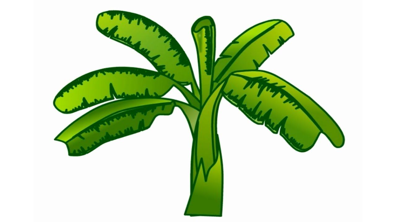 1280x720 How To Draw Banana Tree