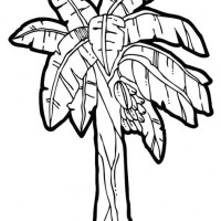 200x200 Banana Tree Coloring