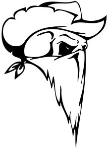 220x300 This Is A Bandit Skull Die Cut Vinyl Sticker Or Decal Great