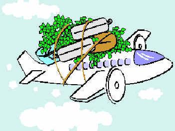 350x263 the hindu fibre banyan tree