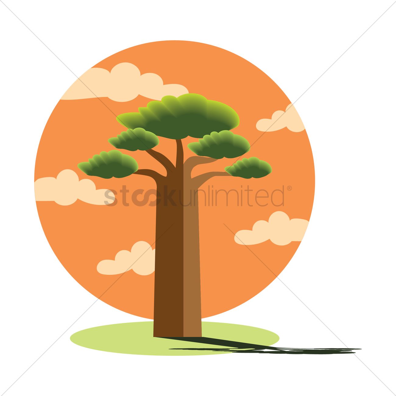 1300x1300 Baobab Tree Vector Image
