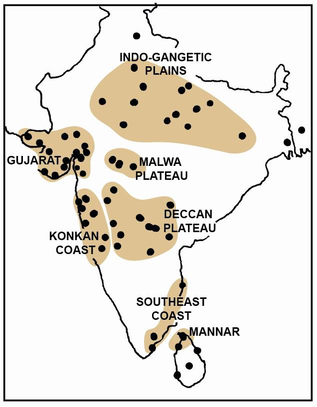 636x817 Baobab Trees Trace The African Diaspora Across The Indian Ocean