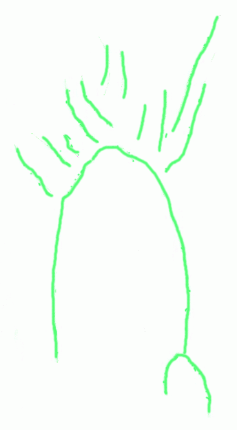 344x623 Exam Guide Online