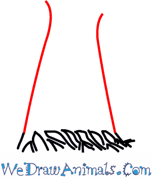 300x350 How To Draw A Baobab Tree