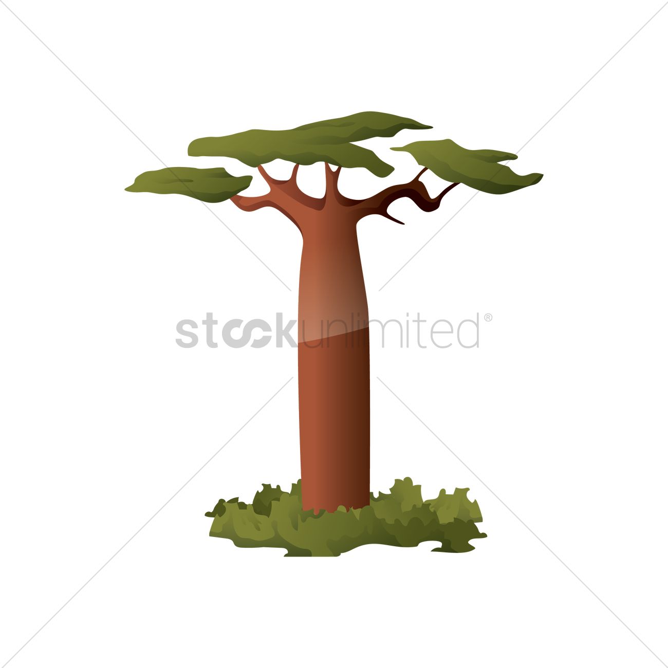 1300x1300 Australian Baobab Tree Vector Image