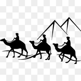 260x260 Android Cartoon Adobe Flash Player Drawing