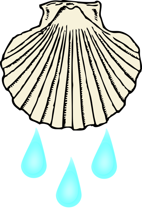 486x750 Infant Baptism Chrism Sacrament Drawing Cc0