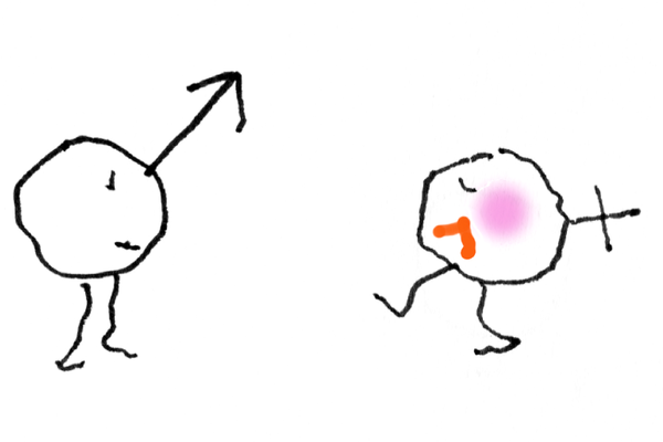 600x400 The New York Times