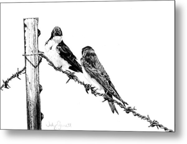 600x462 Barbed Wire Courtship Drawing