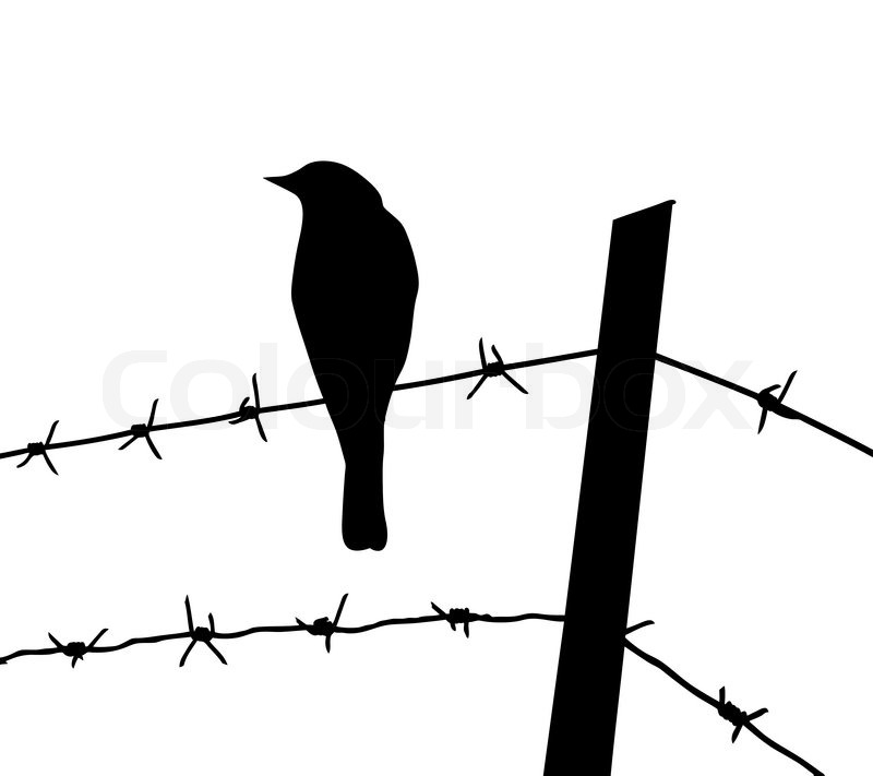 800x711 Vector Silhouette Of The Bird On Stock Vector Colourbox