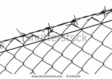 450x320 Barbed Wire Clip