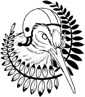 293x335 Help Get Kiwi Toa To Barcelona For The Men's Roller Derby World