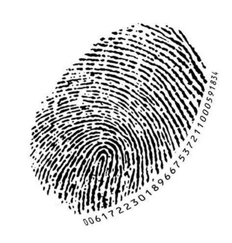 479x502 Eye Catching And Fun Bar Codes Secrets Codes And Conventions