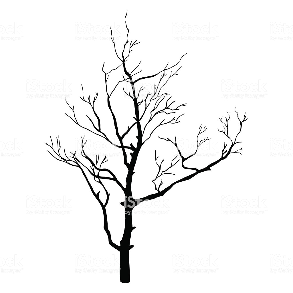1024x1024 Collection Of 'bare Tree Silhouette' Download More Than Images