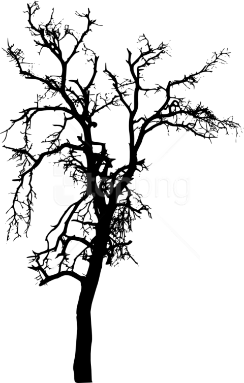 480x754 Huge Collection Of 'bare Tree Silhouette Clip Art' Download More