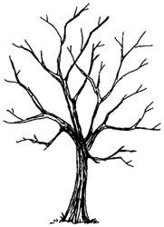 181x250 Christmas Crafting Tree Outline, Art